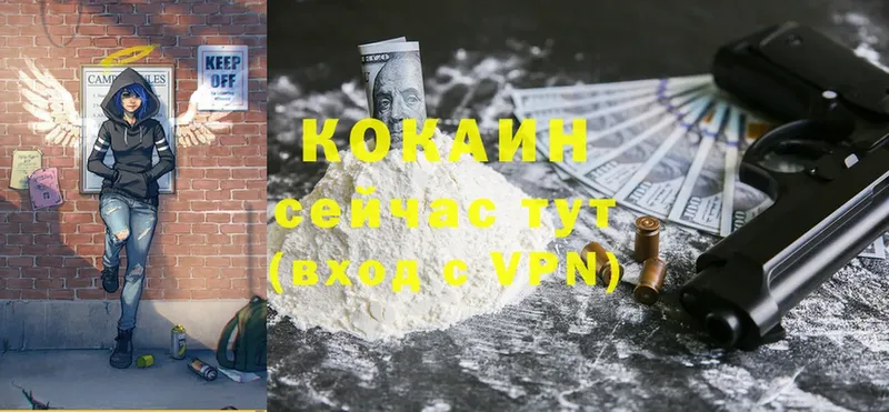 КОКАИН Fish Scale Борзя