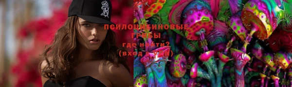 mix Богородицк